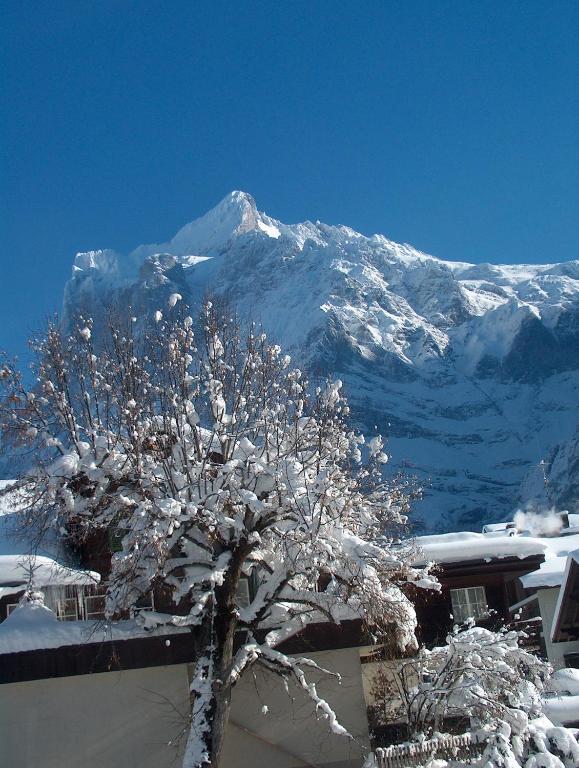 Ferienwohnungen Chalet Hohturnen Grindelwald Exteriör bild