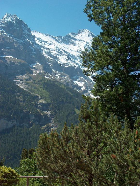 Ferienwohnungen Chalet Hohturnen Grindelwald Exteriör bild